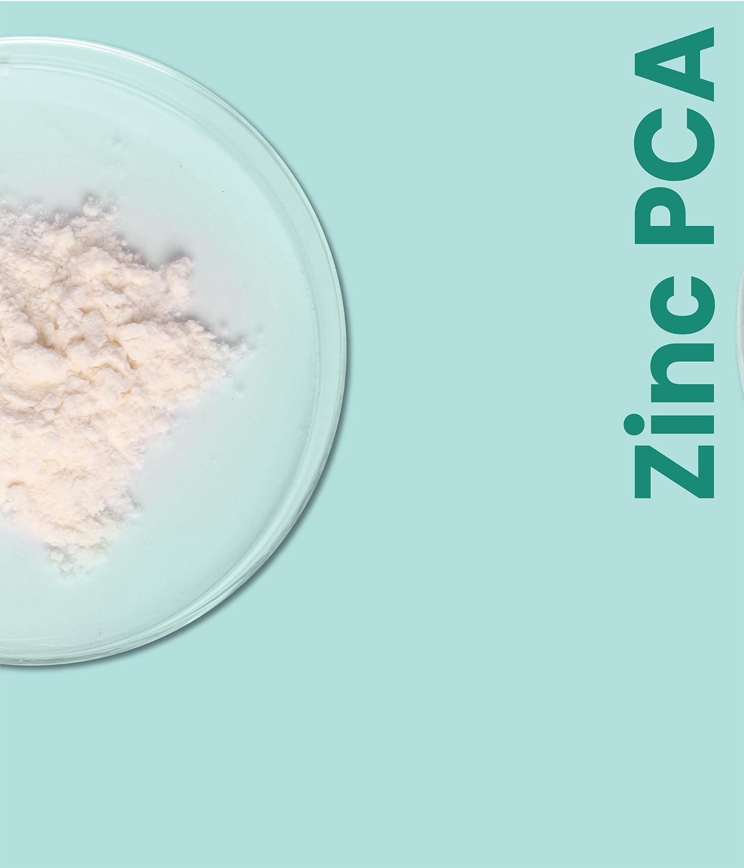 SkinInspired niacinamide serum with zinc PCA